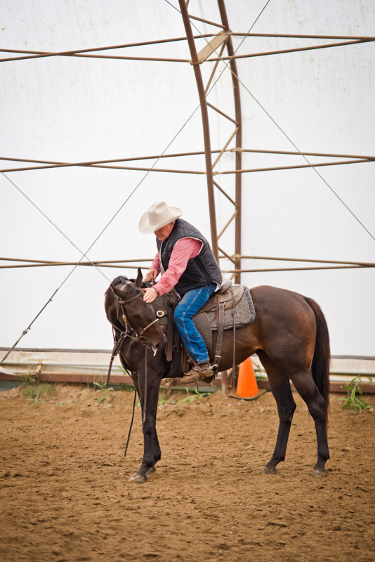 Retraining Thoroughbreds, new careers Thoroughbreds, Barbara Sheridan Equine Guelph, Garry Westergaard, Priscilla Clark Tranquility Farm, thoroughbred career change, Jocelyn Inglehart, Wendy Muir, Jane Avril 