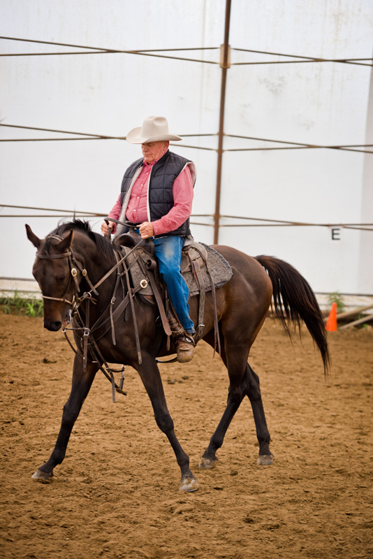 Retraining Thoroughbreds, new careers Thoroughbreds, Barbara Sheridan Equine Guelph, Garry Westergaard, Priscilla Clark Tranquility Farm, thoroughbred career change, Jocelyn Inglehart, Wendy Muir, Jane Avril 