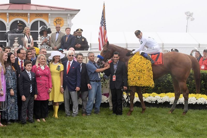 Justify Retired Racing Thoroughbred racehorse justify 2018 Triple Crown winner justify retires winstar farm 2016 keeneland justify