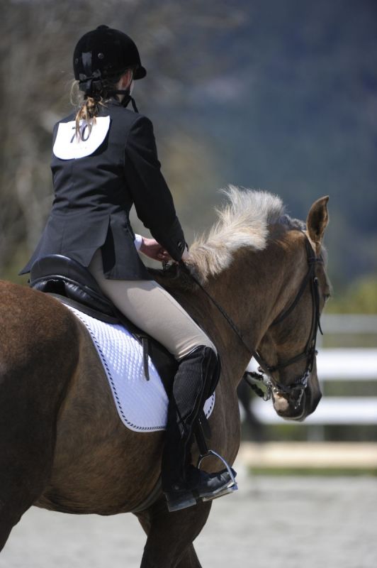 types of horse riding boots, picking a boot for riding horses, english boots, western boots, field boots, dress boots, dressage boots, hunt boots, paddock boots, wellies, muck boots, western boots, tall boots, riding boots