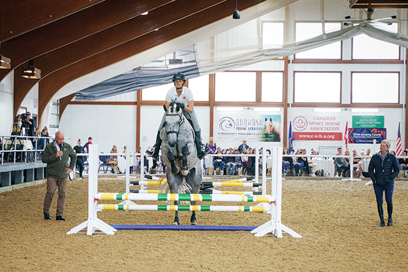 beezie madden tumour, madden symposium, john madden symposium, training beezie madden