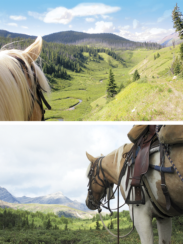 camping with horses canada, horseback riding canada, riding horses in banff national park, riding horses rocky mountains, horseback riding western canada, mount assiniboine provincial park, tania millen