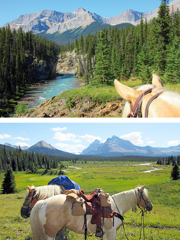 camping with horses canada, horseback riding canada, riding horses in banff national park, riding horses rocky mountains, horseback riding western canada, mount assiniboine provincial park, tania millen