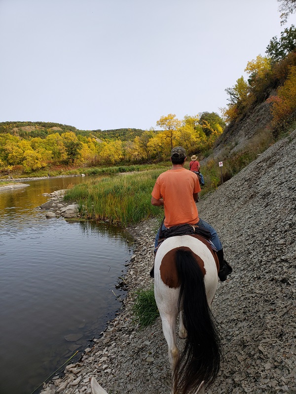 manitoba horse council news, mhc 2020, springfield horse community, covid in manitoba horse community, equestrians manitoba