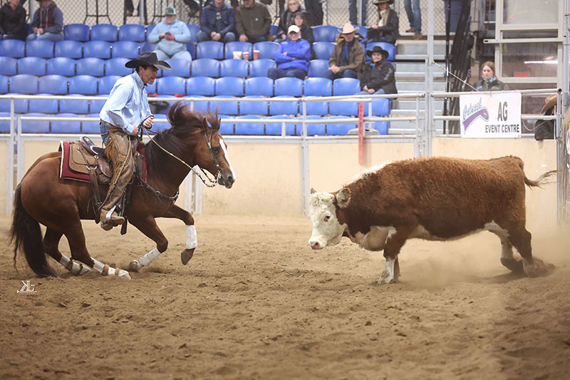 john swales million dollar club, National Reined Cow Horse Association (NRCHA) 