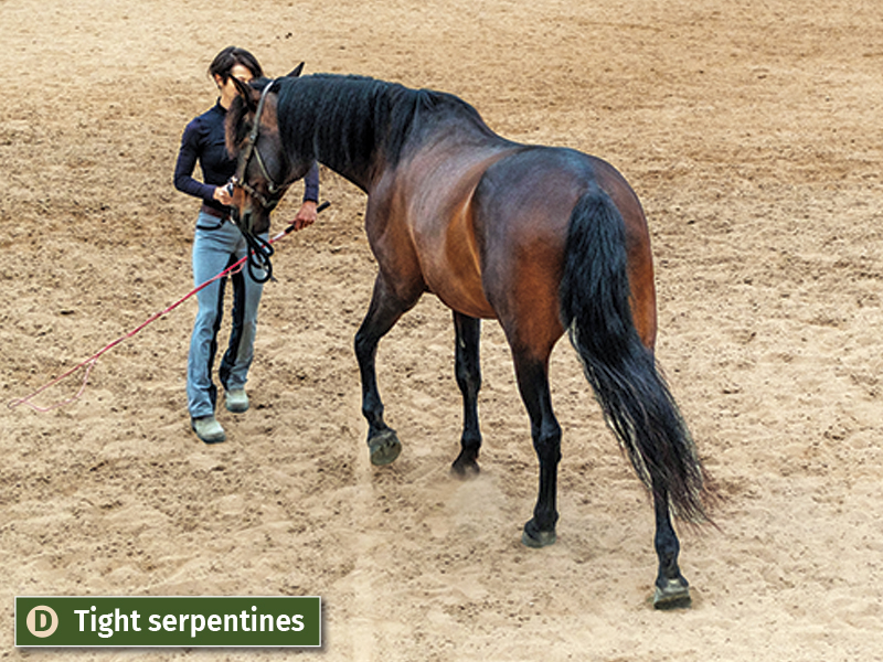 jec ballou books, jec ballou horse fitness trainer, groundwork exercises horses, books on horse groundwork, 33 strength and fitness workouts for horses, how to horse serpentines, how to horse turn-on-the huanches
