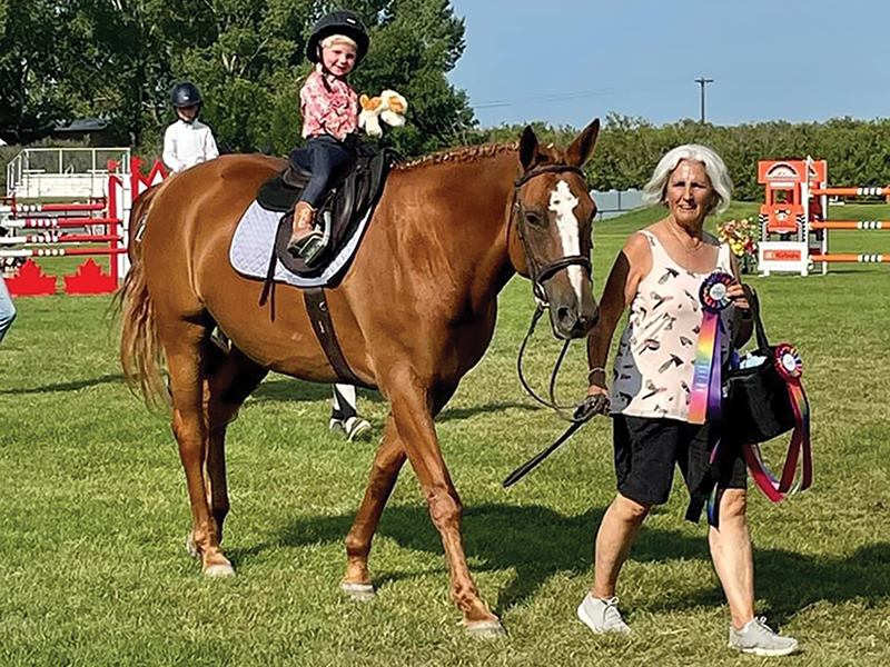 Importance of horse show volunteers, horse show volunteer Barbara Jackson, Canadian Sport Horse Association volunteering, unsung horse show heroes, Canadian horse woman Barbara Jackso