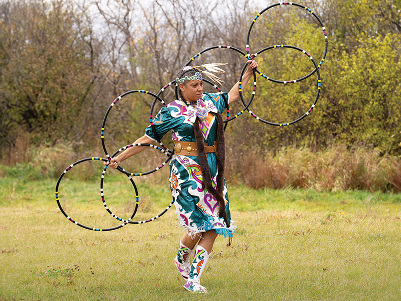 Mādahòkì Farm, Lac La Croix Indigenous pony, Lac La Croix ponies, Gakijiwanong Anishinaabe Nation, unique pony breeds, zebra stripes on pony legs, importance of preserving horse breeds, TJ Stables, mare Wishkossiwika, Fred Isham, Ojibwe Horse herd, The last roundup