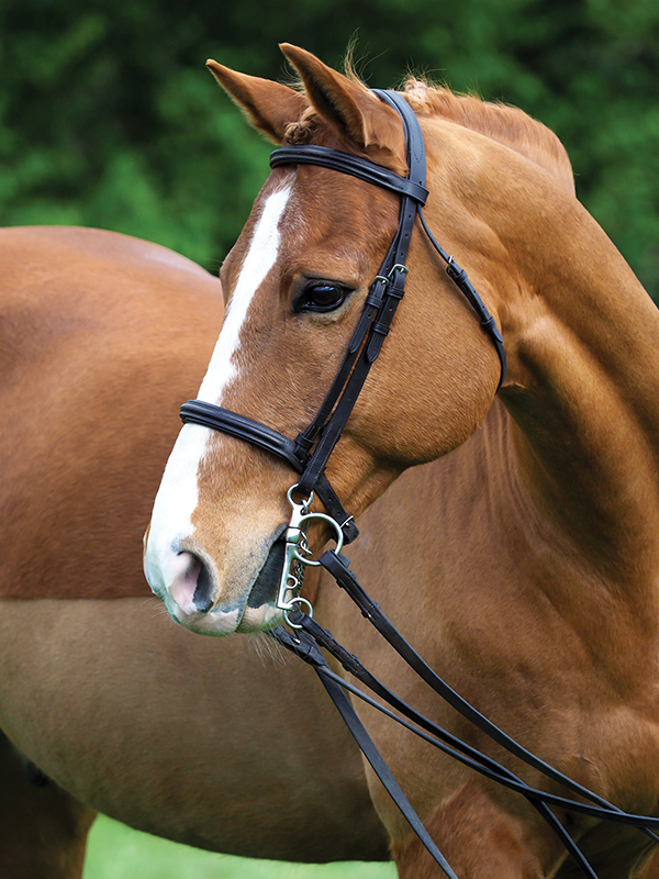 neck reining, what is equine neck reining?, understanding horse neck reining, what bit for my horse?, what are curb bits for horses? Lindsay Grice, what are leverage bits for horses?, understanding horse bits, how to adjust horse reins, Western riding neck reining tips