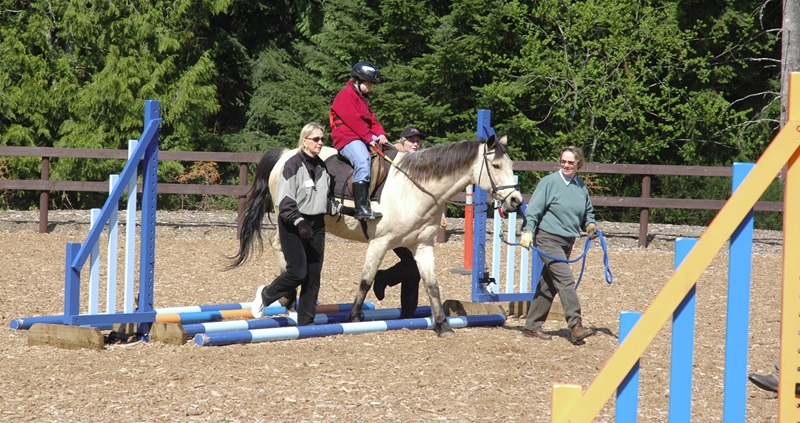 Pippa Hodge Therapeutic Riding Canada