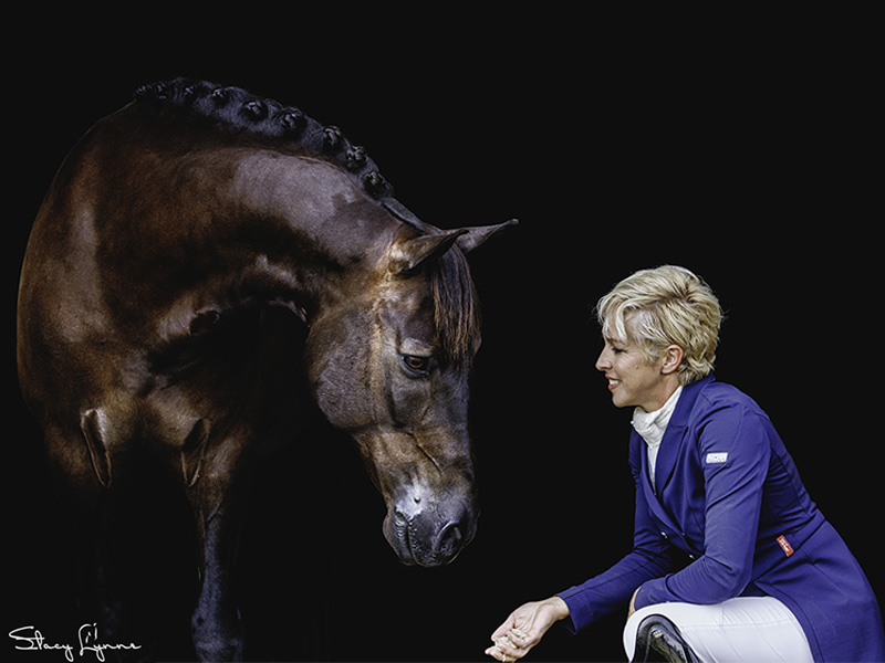 canadian horse breed, canada's national breed, chhaps, canadian horse heritage & preservation society, canadream farm, canada's national horse, trinity dressage
