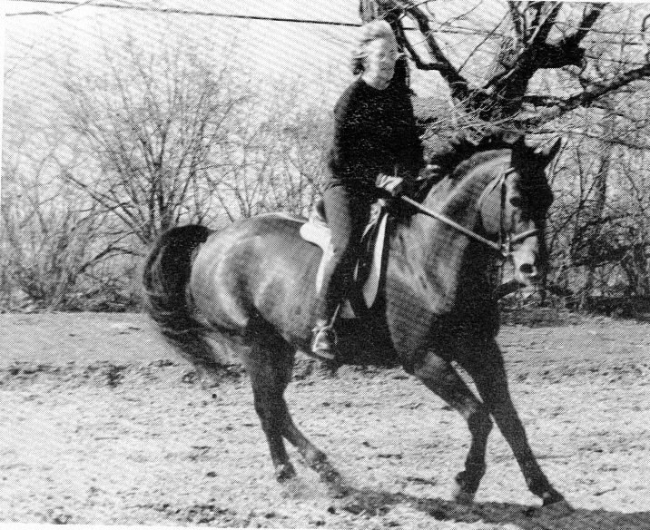 Eve Mainwaring Hunter/Jumper