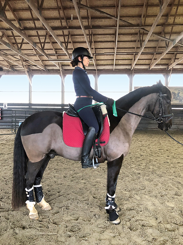 exercises for horse riders, pilates for hosre riders, how to be a better horse rider, fitness for horse riders, band exercises horse riders