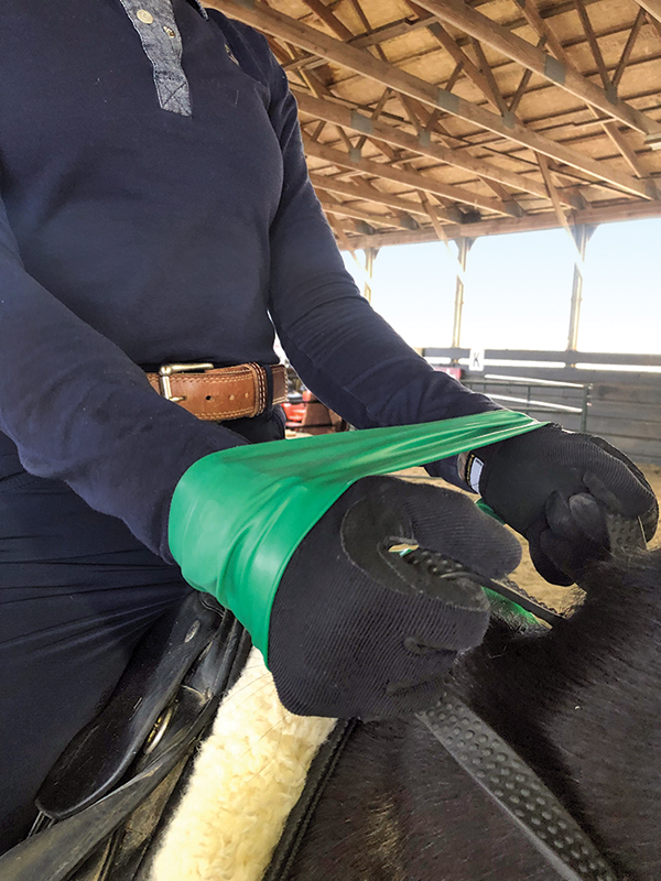 exercises for horse riders, pilates for hosre riders, how to be a better horse rider, fitness for horse riders, band exercises horse riders