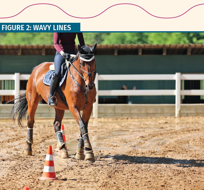 walking workouts horse, jec ballou horse fitness, keeping horse fit, groundwork horse, conditioning exercises horse, equine therapeutic exercises horse