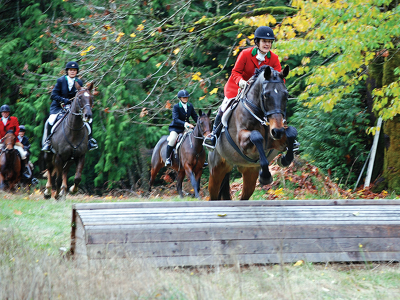 foxhunting canada, fraser valley fox hunt