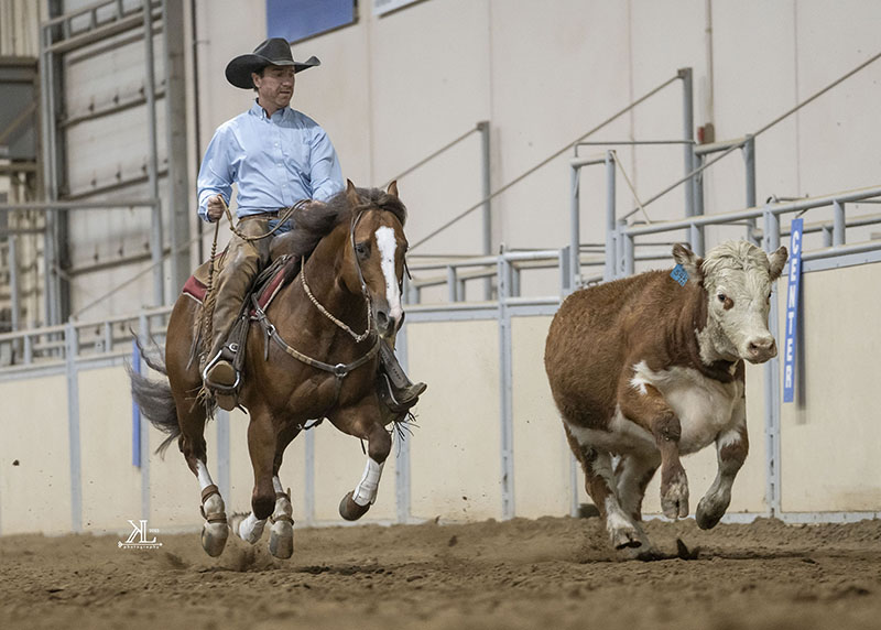john swales million dollar club, National Reined Cow Horse Association (NRCHA) 