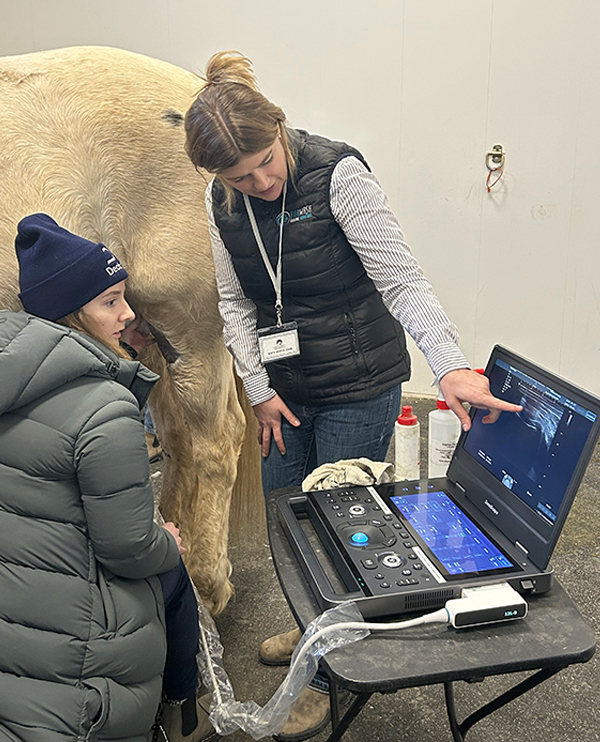 burwash equine services cochrane, spotlight on equine vet practice canada event 