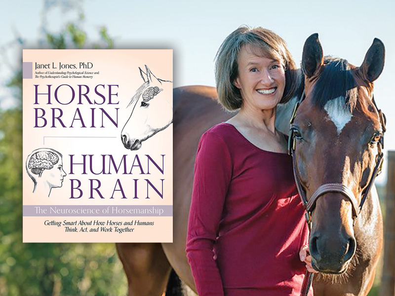 Horse psychology, equine psychology, how horses' brains work, understanding the psychology of your horse, neurochemical action in the horse’s brain, Li Robbins, understanding the similarities between horses and humans, understanding the between horses and humans, horse brain human brain by Janet jones