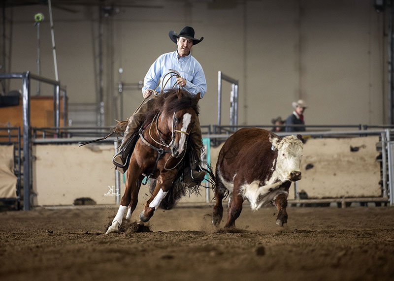 john swales million dollar club, National Reined Cow Horse Association (NRCHA) 