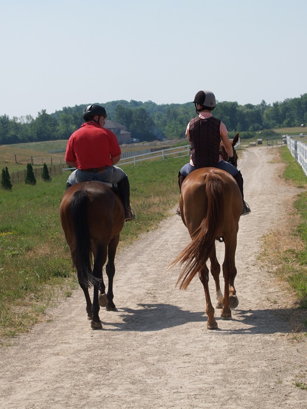 horses on a trail ride, pam mackenzie horse photographer
