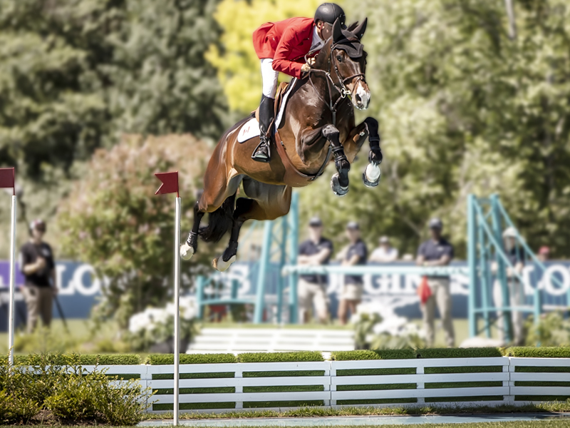 Team Canada equestrian jumping, Paris 2024 Olympic Games, Olympic show jumping team Canada 2024, erynn ballard,mario delauriers, amy millar