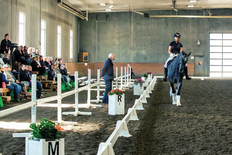 christoph hess dressage symposium, top dressage trainers, fei dressage judge christoph hess canada