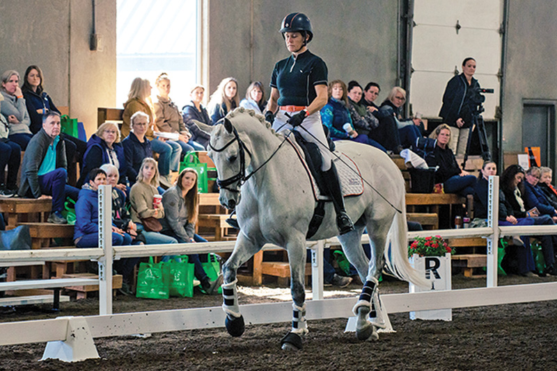 christoph hess dressage symposium, top dressage trainers, fei dressage judge christoph hess canada