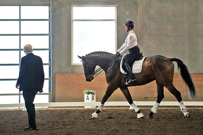 christoph hess dressage symposium, top dressage trainers, fei dressage judge christoph hess canada