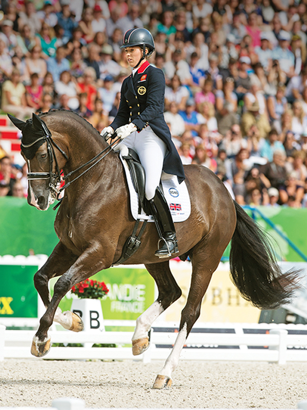 Is dressage unfair to the horse? Is whipping a horse abuse? Changing opinions on animal cruelty, horse welfare in sport, updated horse welfare policies, equestrian pentathlon controversy, drawing new guidelines for horse welfare and safety