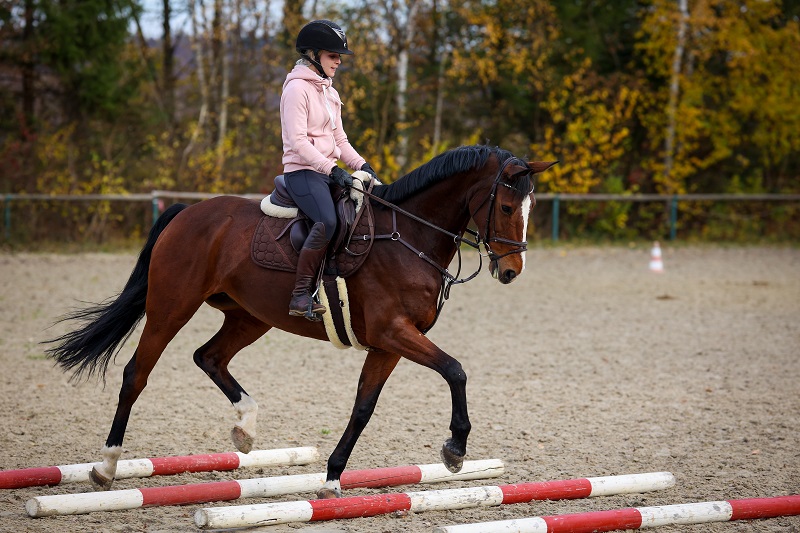help a horse build confidence