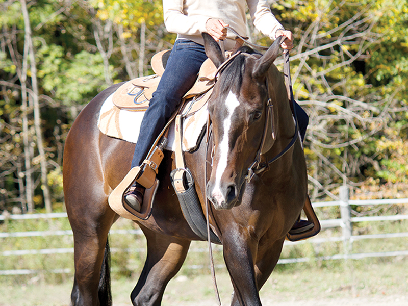 neck reining, what is equine neck reining?, understanding horse neck reining, what bit for my horse?, what are curb bits for horses? Lindsay Grice, what are leverage bits for horses?, understanding horse bits, how to adjust horse reins, Western riding neck reining tips