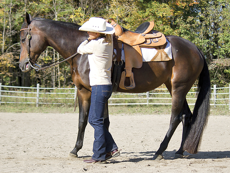 neck reining, what is equine neck reining?, understanding horse neck reining, what bit for my horse?, what are curb bits for horses? Lindsay Grice, what are leverage bits for horses?, understanding horse bits, how to adjust horse reins, Western riding neck reining tips