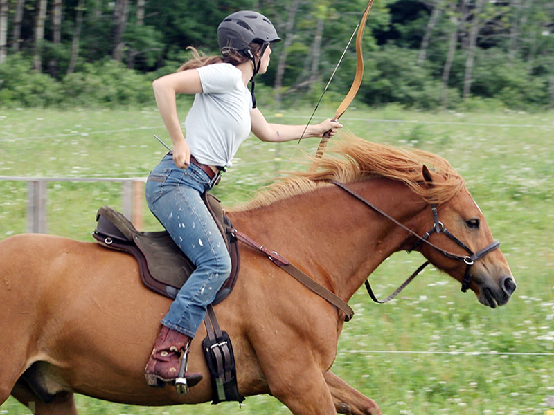 canadian horse breed, canada's national breed, chhaps, canadian horse heritage & preservation society, canada's national horse, canadian horse le cheval canadien, mounted archery canadian horses