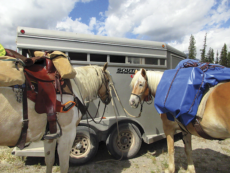 camping with horses canada, horseback riding canada, riding horses in banff national park, riding horses rocky mountains, horseback riding western canada, mount assiniboine provincial park, tania millen