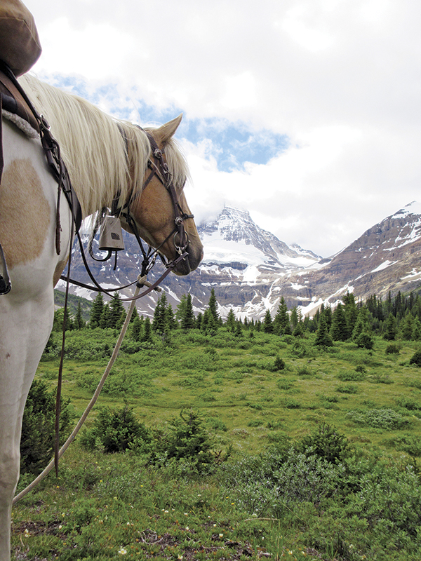 camping with horses canada, horseback riding canada, riding horses in banff national park, riding horses rocky mountains, horseback riding western canada, mount assiniboine provincial park, tania millen