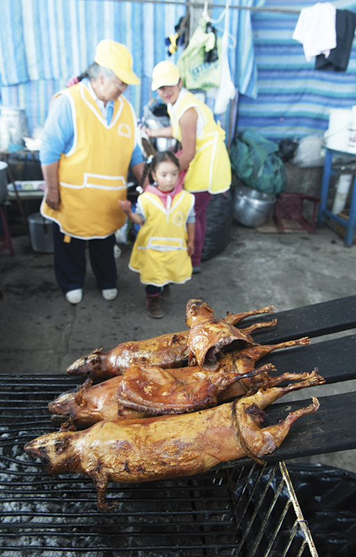 horseback riding vacations, riding horses holidays, shawn hamilton horse journalist, horse destination vacations