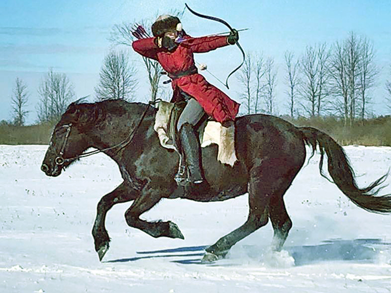 canadian horse breed, canada's national breed, chhaps, canadian horse heritage & preservation society, canada's national horse, canadian horse le cheval canadien, mounted archery canadian horses