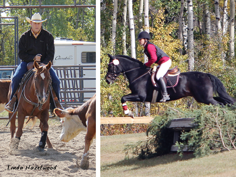 manitoba horse council news, manitoba horse clubs, manitoba horse industry, grands horse people manitoba, mhc member clubs