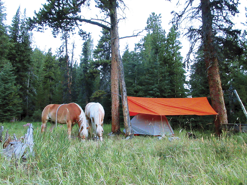 camping with horses canada, horseback riding canada, riding horses in banff national park, riding horses rocky mountains, horseback riding western canada, mount assiniboine provincial park, tania millen
