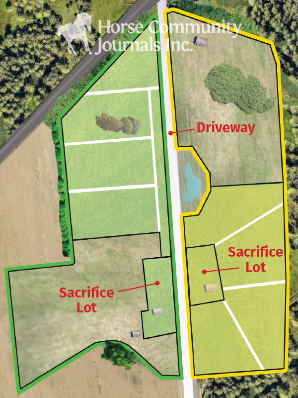 penn state extension equine team, rotational grazing horses, managing horse pastures, sacrifice lot horse grazing