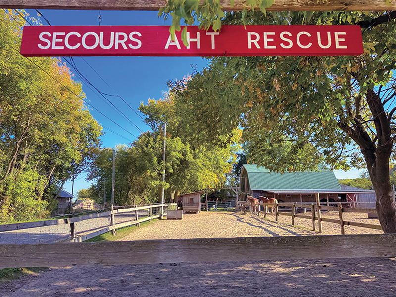 AHT A Horse Tale Rescue location, quebec horse rescue