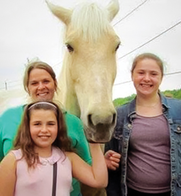 horse rescues quebec, a horse tale rescue quebec, caroline handy a horse tale, aht in quebec, horse sanctuaries in quebec