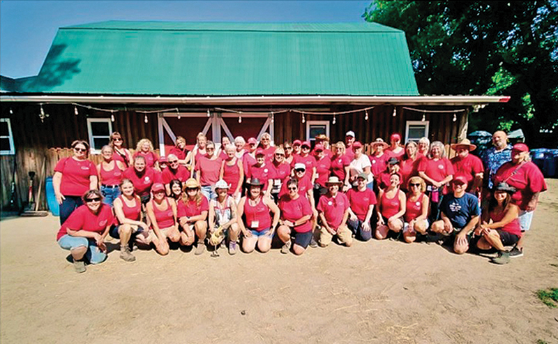 horse rescues quebec, a horse tale rescue quebec, caroline handy a horse tale, aht in quebec, horse sanctuaries in quebec