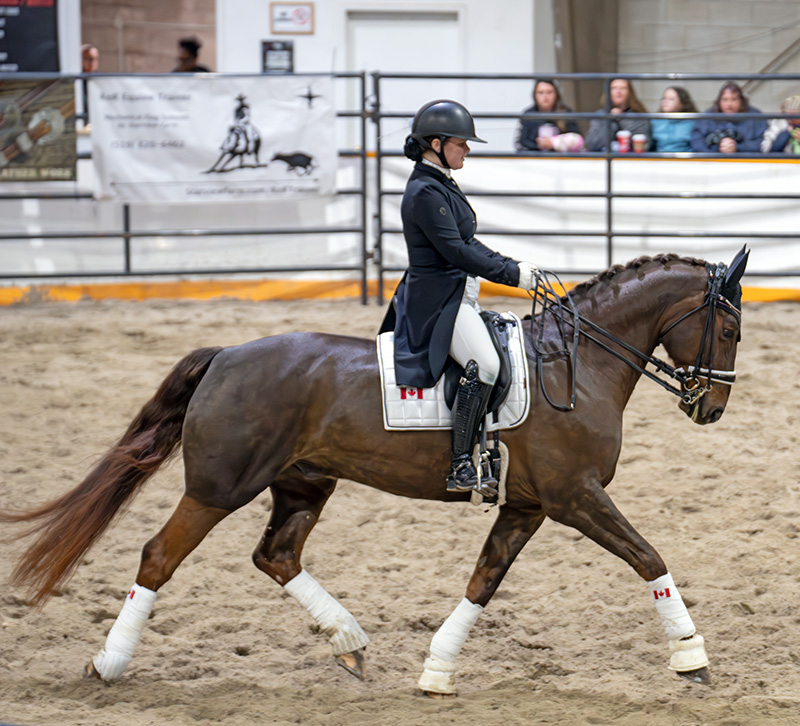 ainsley leach on frangelica dressage, Ontario Equine Expo, Canadian horse events, equine expo Ontario, horse clinics Canada, equestrian events Ontario, horse industry Canada, horse training clinics, equine education Canada, Markham Fairgrounds horse event, Battle of the Bridles, western and English disciplines, horse footing issues arena, Canadian equestrians, horse vendors Canada, equine expo 2026