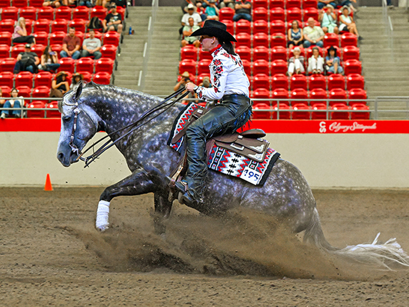 shawna sapergia show shirt by molly sapergia, legitness shawna sapergia