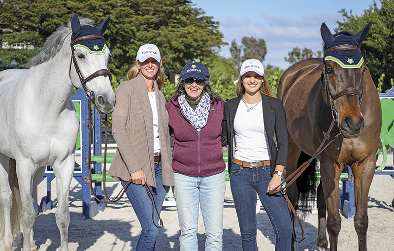 how to market horse business, marketing equestrian products, public relations for the horse industry