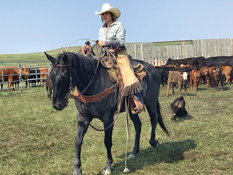 family farms, how to run a family farm, horse farms, how to manage farm and family life, canadian farms, horse farms canada, managing farm and children, tania millen
