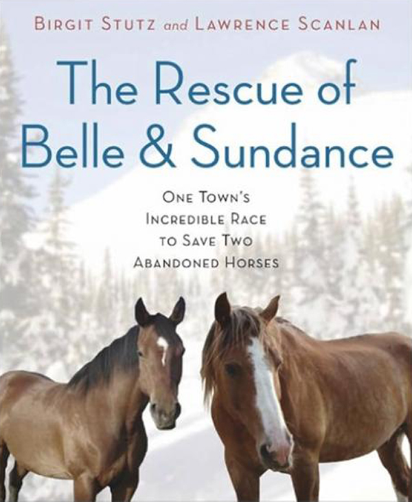 the rescue of bell and sundane book by birtit stutz and lawrence scanlan