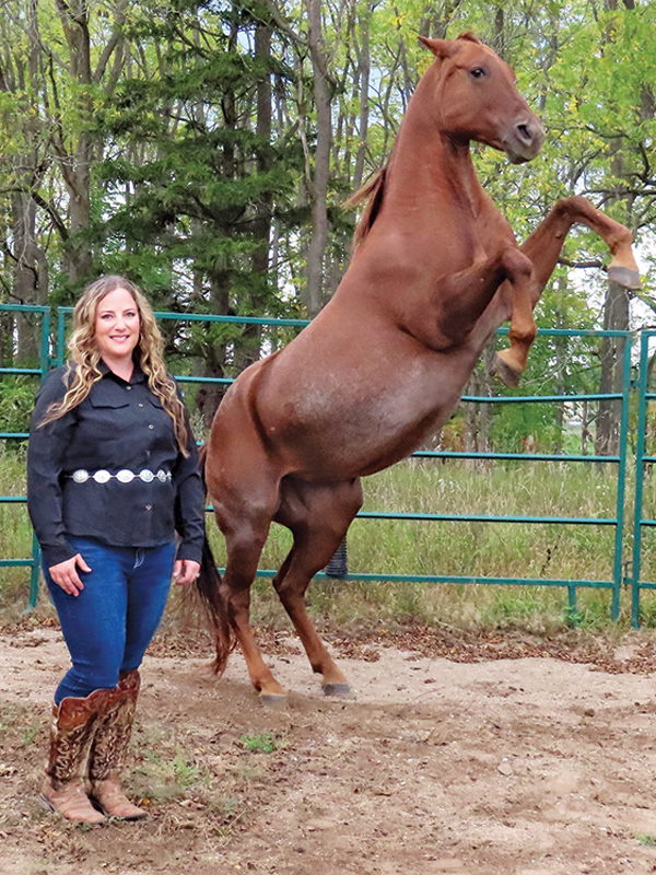 bronwyn irwin horse commercials, horses with jobs, working horses, school horses, therapy horses, search and rescue horses, quadrille horses, movie horses, horse temperament, equine careers